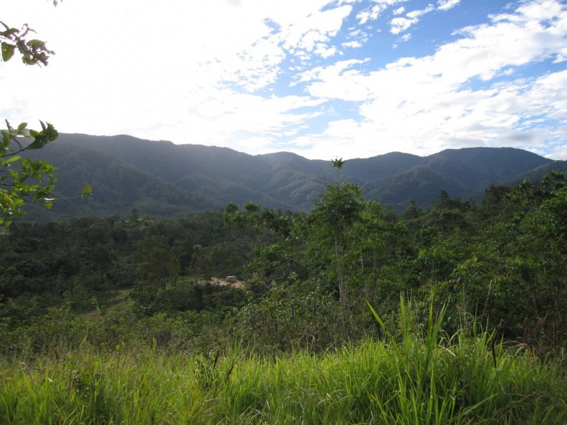 594 Gorge Road, Finch Hatton QLD 4756