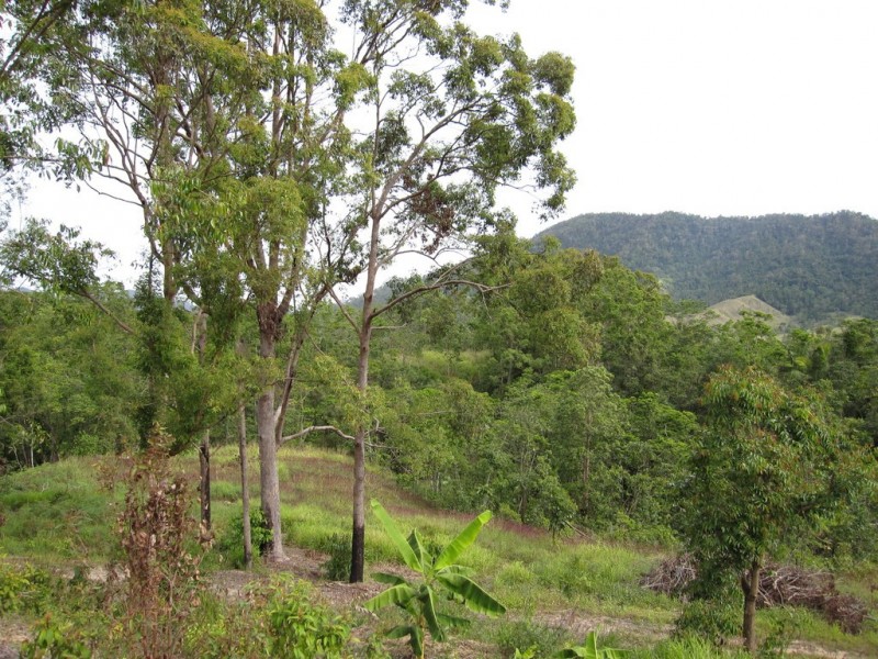 594 Gorge Road, Finch Hatton QLD 4756