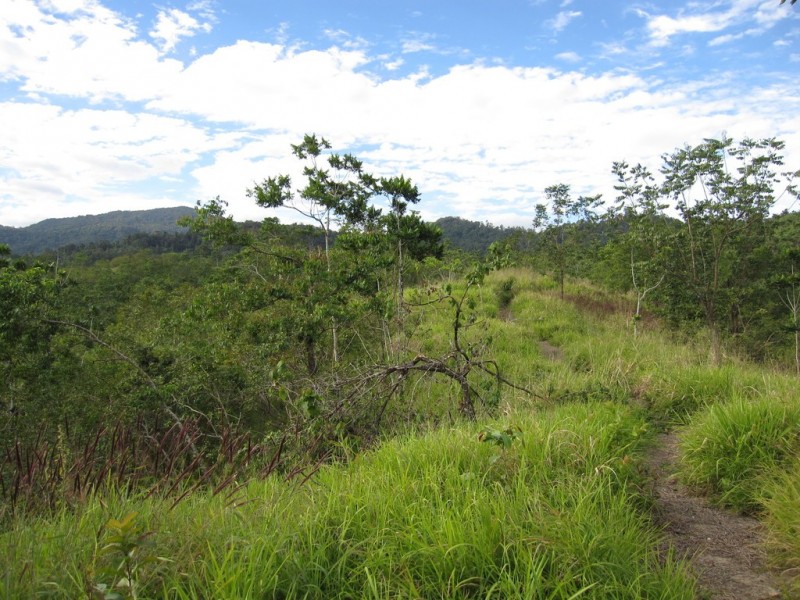 594 Gorge Road, Finch Hatton QLD 4756