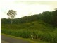 1731 Mirani-Mt Ossa Road, Dows Creek QLD 4754