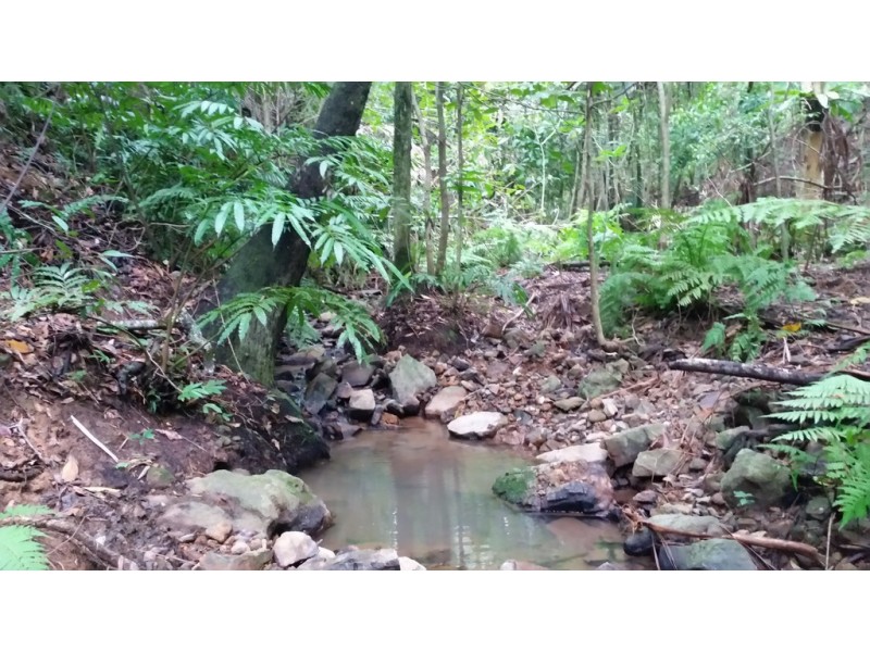 95 Cummings Street, Eungella QLD 4757