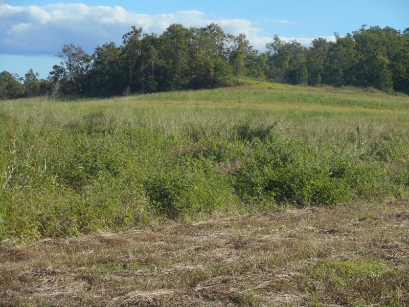 Lot 8 Dunwold Lumburra Road, Gargett QLD 4741