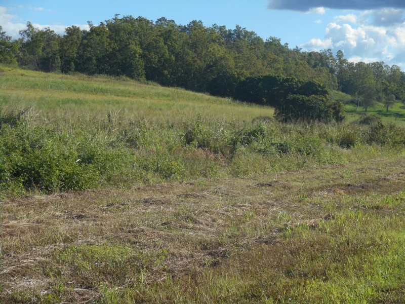 Lot 8 Dunwold Lumburra Road, Gargett QLD 4741
