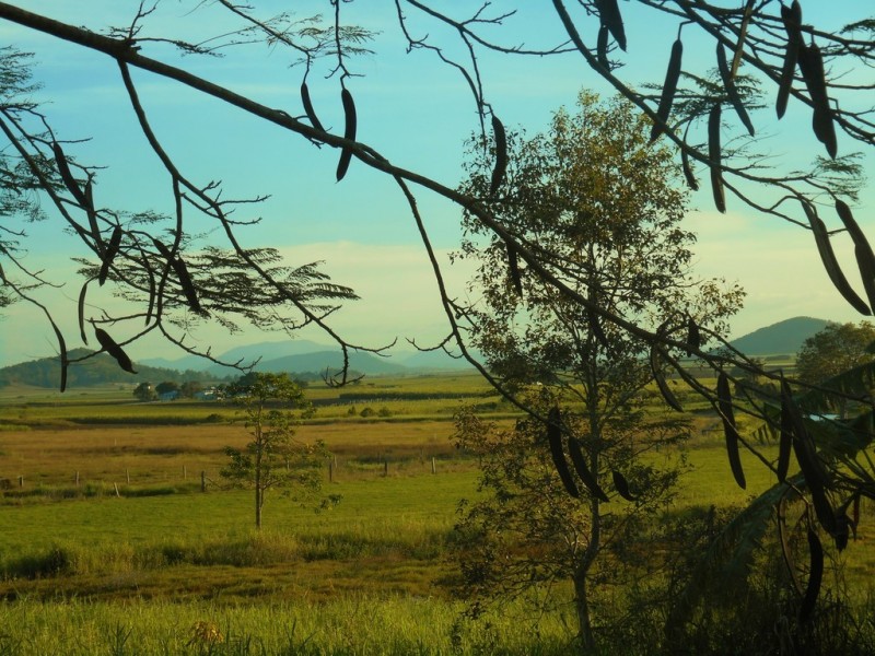 Lot 25 Wainai Road, Farleigh QLD 4741