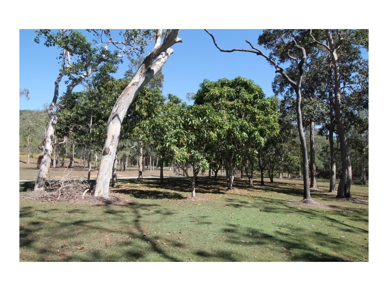 105 Pyms Road, Hampden QLD 4741