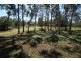 105 Pyms Road, Hampden QLD 4741