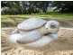 12 Rasmussen Avenue, Hay Point QLD 4740