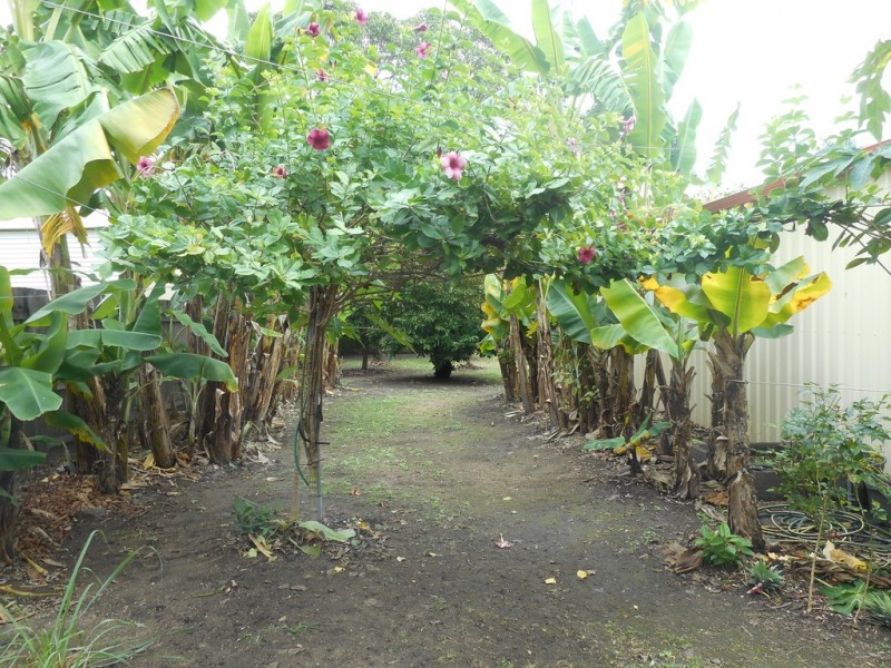 2 Drew Street, Finch Hatton QLD 4756