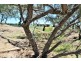 107 Rasmussen Avenue, Hay Point QLD 4740