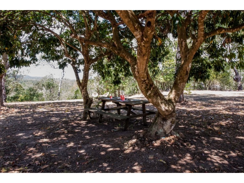 59 Pyms Road, Hampden QLD 4741