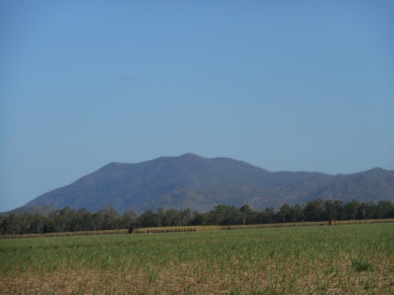 Lot 155 Mackay-Eungella Road, Gargett QLD 4741