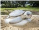 143 Rasmussen Avenue, Hay Point QLD 4740