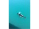 143 Rasmussen Avenue, Hay Point QLD 4740