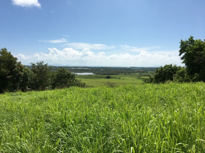 103 Wallmans Road, Rural View QLD 4740