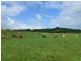 103 Wallmans Road, Rural View QLD 4740