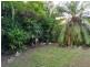 53 Geoffrey Thomas Drive, Bucasia QLD 4750