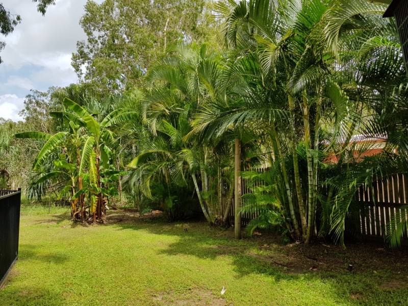 53 Geoffrey Thomas Drive, Bucasia QLD 4750