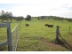Lot 3 – 34 Fenech Avenue, Alligator Creek QLD 4740