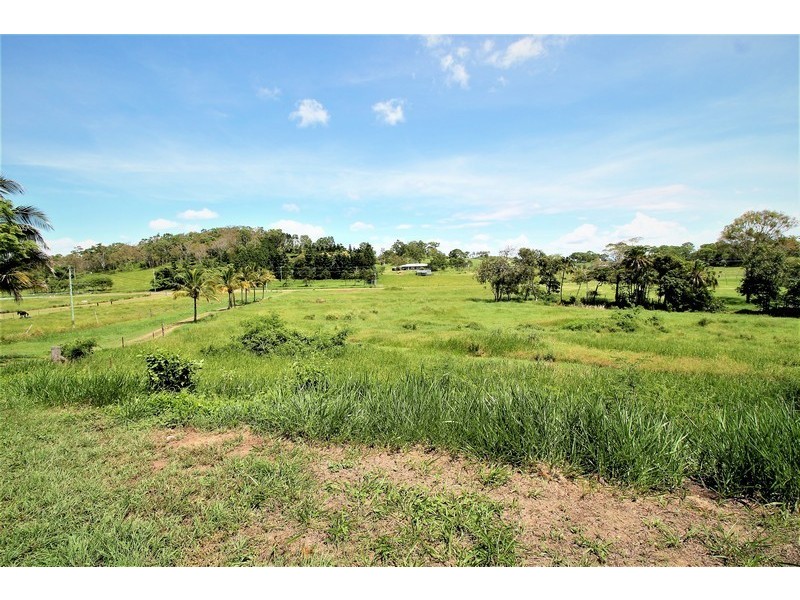 95 Fenech Avenue, Alligator Creek QLD 4740