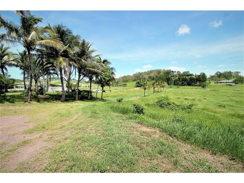 95 Fenech Avenue, Alligator Creek QLD 4740