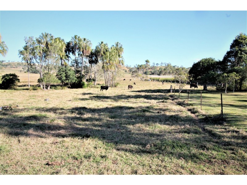 502 Hay Point Road, Alligator Creek QLD 4740