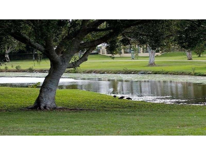 15 Roberts Avenue, North Mackay QLD 4740