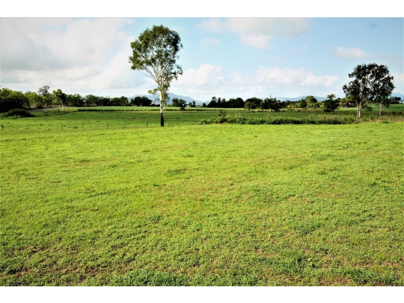 24687 Peak Downs Highway, Victoria Plains QLD 4751