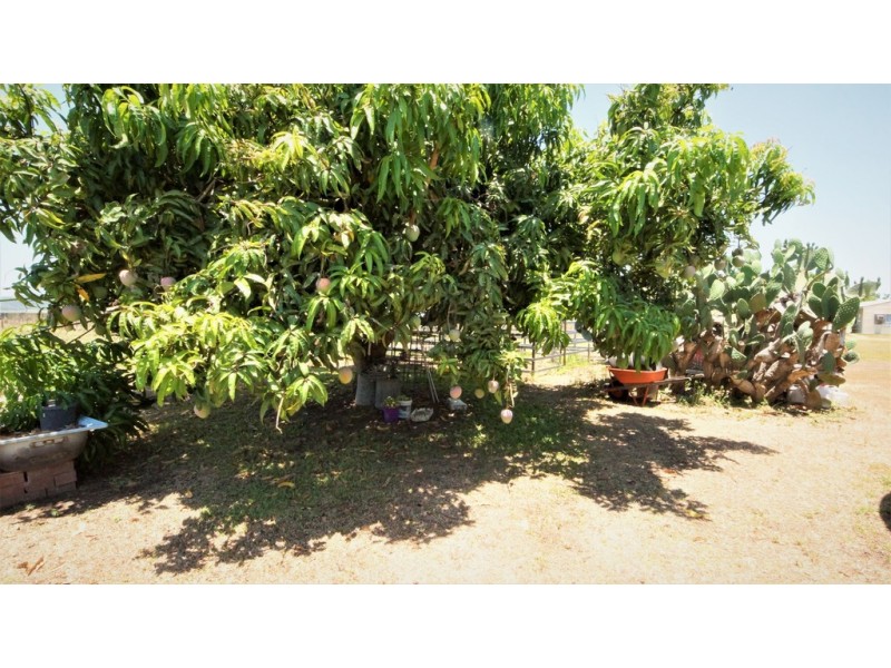 238 Doyles Road, Balnagowan QLD 4740