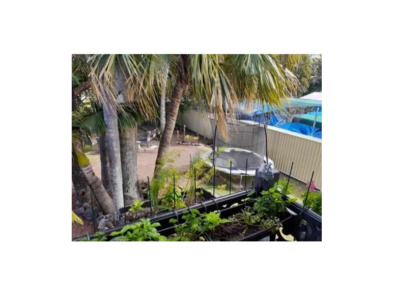 67 Webberley Street, West Mackay QLD 4740