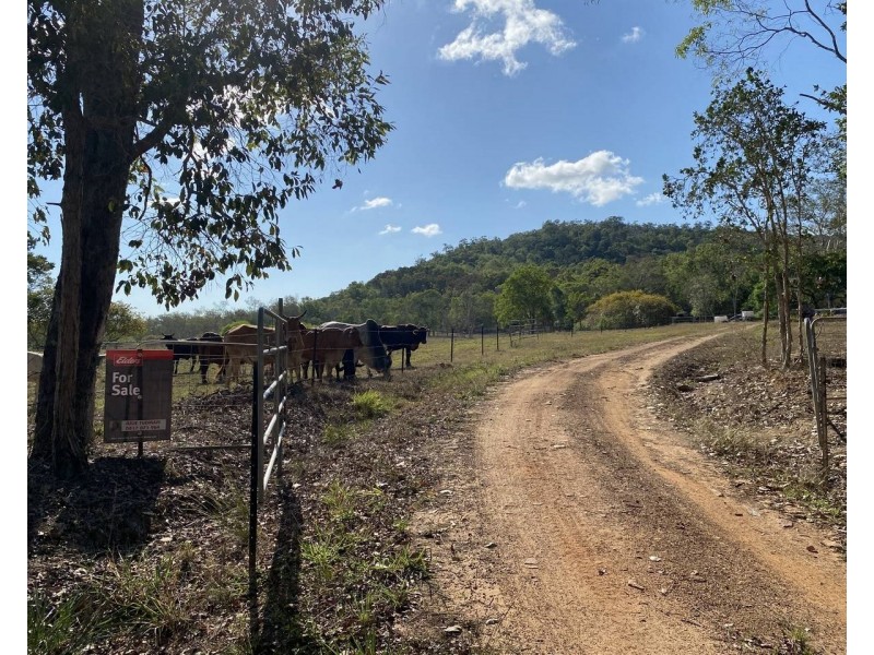 293 Griffiths Road, Balnagowan QLD 4740