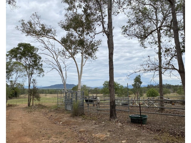 293 Griffiths Road, Balnagowan QLD 4740