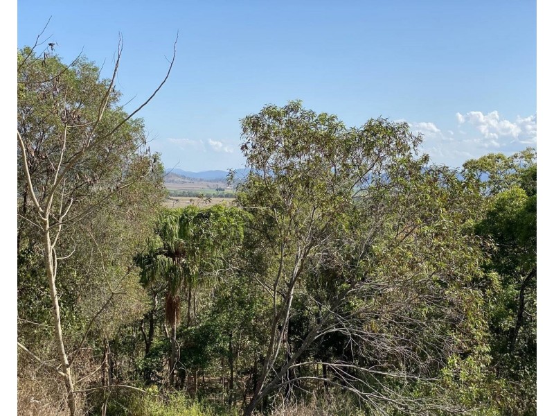 293 Griffiths Road, Balnagowan QLD 4740