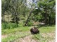 23297 Peak Downs Highway, Eton QLD 4741