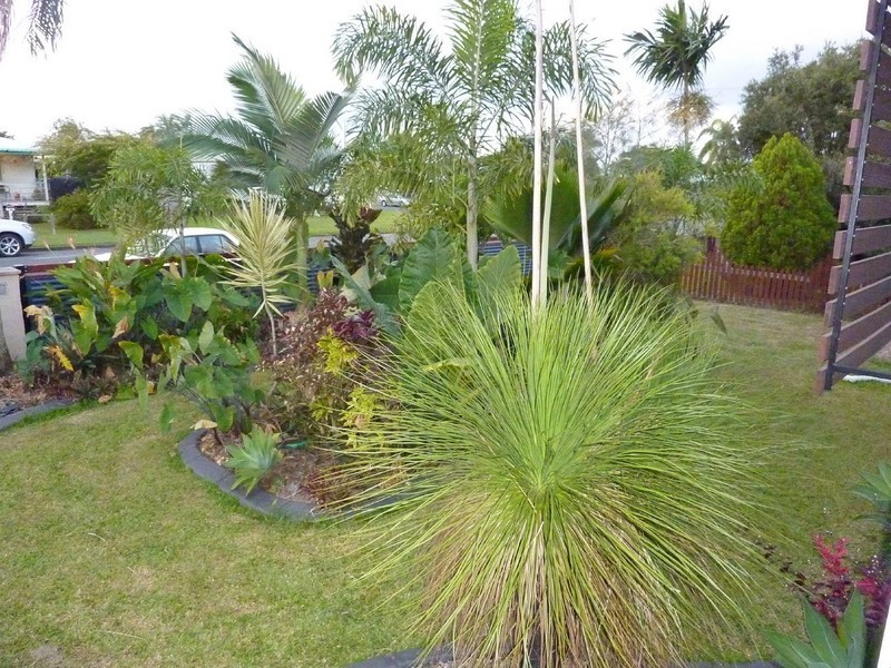 43 Clements Street, South Mackay QLD 4740