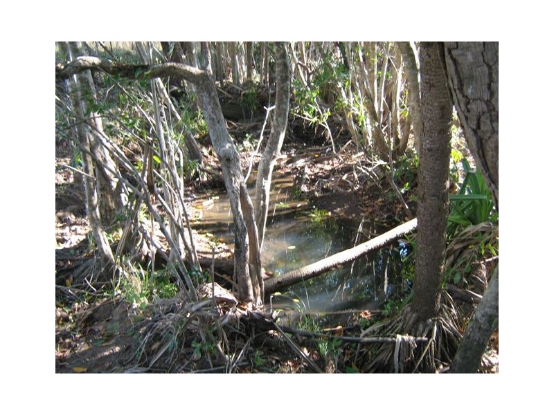 42 Mirabellas Road, Devereux Creek QLD 4753