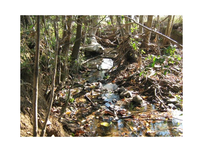 42 Mirabellas Road, Devereux Creek QLD 4753