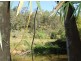 14 Thurgoods Road, Finch Hatton QLD 4756