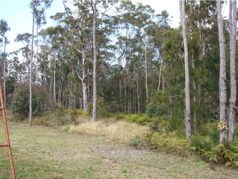 Lot 8 Schumanns Road, Eungella QLD 4757
