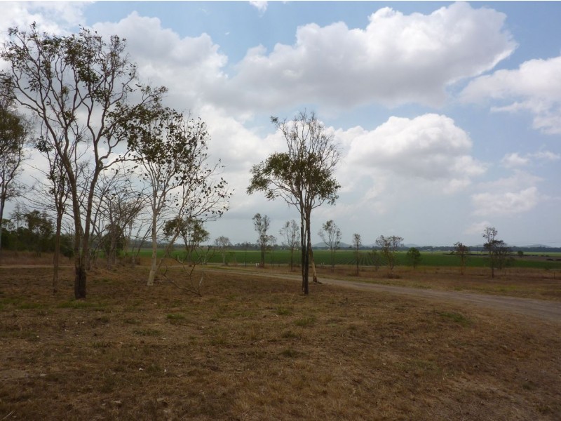 831 Stockroute Road, Palmyra QLD 4751