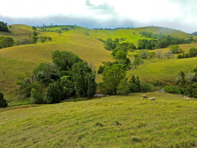 106 Chelmans Road, Dalrymple Heights QLD 4757