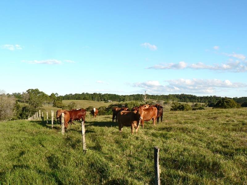 Lot 39 Dalrymple Road, Dalrymple Heights QLD 4757