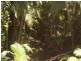 85 Woods Road, Dows Creek, Mirani QLD 4754