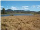 85 Woods Road, Dows Creek, Mirani QLD 4754