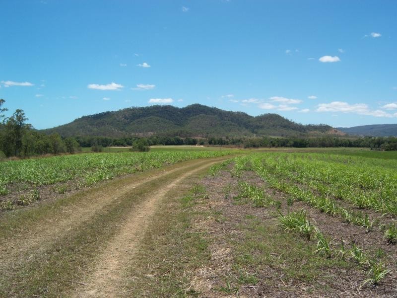 85 Woods Road, Dows Creek, Mirani QLD 4754