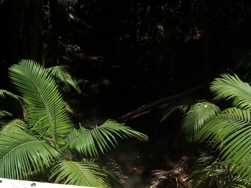 85 Woods Road, Dows Creek, Mirani QLD 4754
