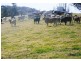 1735 Dalrymple Road, Dalrymple Heights QLD 4757