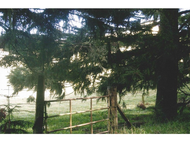 1735 Dalrymple Road, Dalrymple Heights QLD 4757