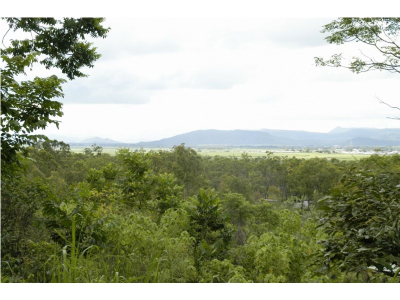 169 Powells Road, Marian QLD 4753