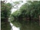 Lot 4 and 5 Thurgoods Road, Finch Hatton QLD 4756