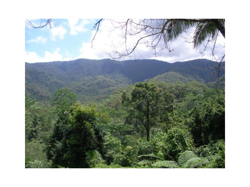 22 Boulder Road, Finch Hatton QLD 4756